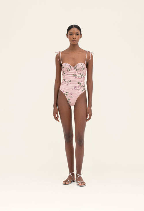 Main image -   Aurora-Rabano-Wisteria-One-Piece-17542-1