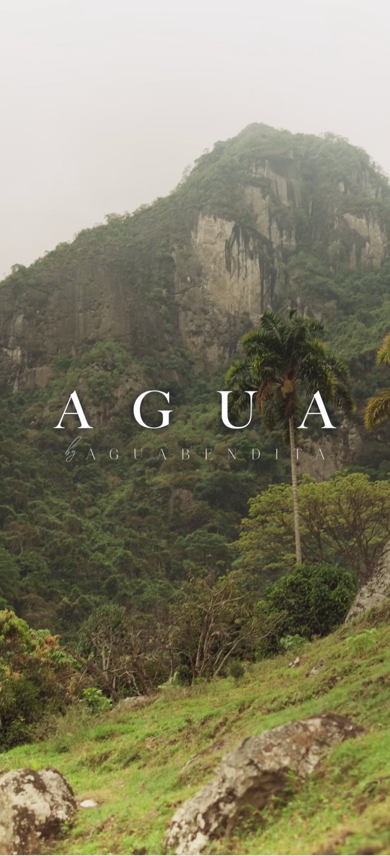 Simbolo Collection | Agua by Agua Bendita