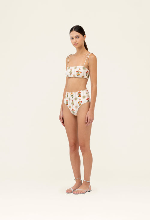 Main image -   Secreto-Magenta-Canna-Bikini-bottom-19251-1.jpg