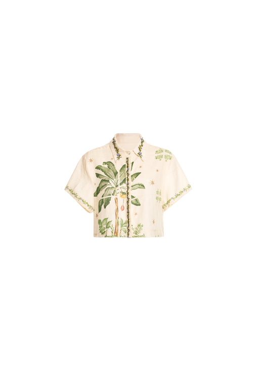 Hover Alternative image -   Secreto-Virtuosa-Wild-Cropped-shirt-19212-6-HOVER.jpg