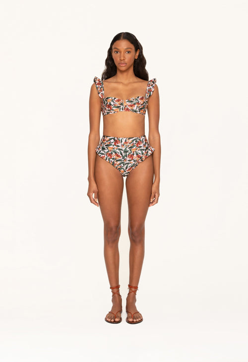 Main image -   Jengibre-Monarca-Crema-Bikini-Bottom-10357