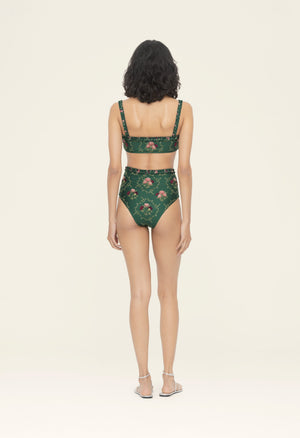 Horizontes-Nopal-Memoria-Bikini-Bottom-16846-3.jpg