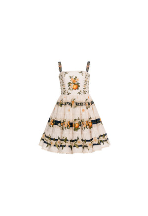 Maria-Lima Valle Mini Dress-20840-6-HOVER.jpg