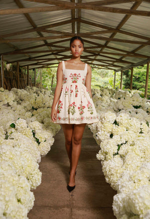 Secreto-Barbara-Canna-Mini-Dress-19254-2.jpg