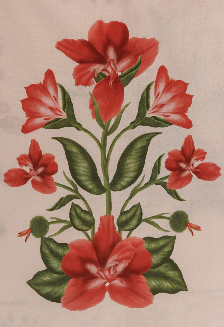 Secreto-Emelina-Canna-Pareo-19249-8.jpg - 8