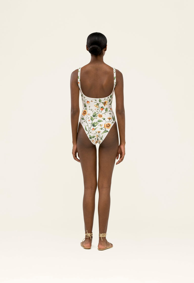 ocaso-gema-uchuva-one-piece-20260-4.jpg - 4