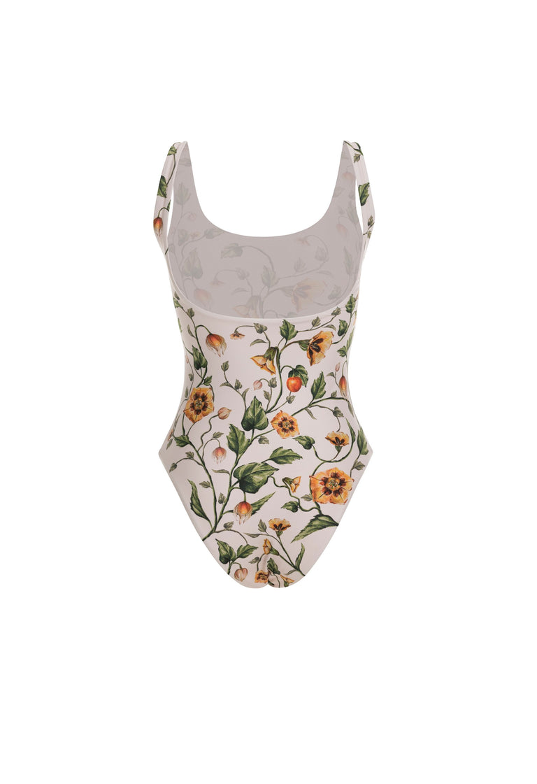 ocaso-gema-uchuva-one-piece-20260-7.jpg - 7