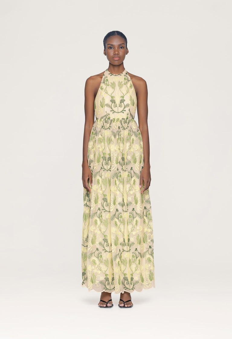 Acanella-habitat-Maxi-Dress-13377 - 1