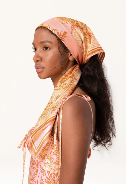 Main image -   Almendro-Vuelo-Atardecer-10585 