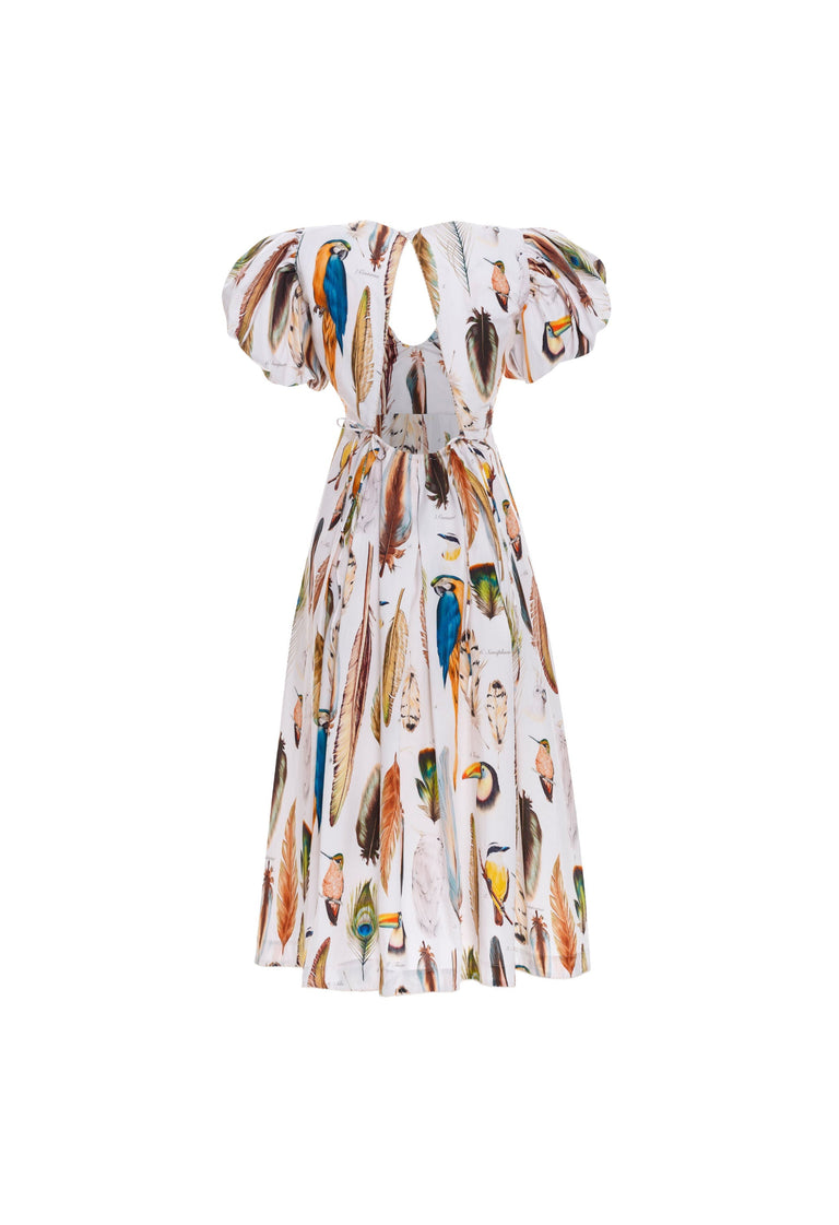 Chontaduro-Pluma-Cotton-Midi-Dress-12653 - 5