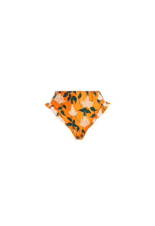 Hover Alternative image -   Jengibre-Sabanero-Dorado-hand-Embroidered-Bikini-Bottom-11203-HOVER 