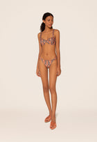 Vera-herbacea-Atardecer-Bikini-Bottom-9140